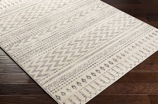 Surya Tevazu TVZ-2385 Area Rug Corner Shot