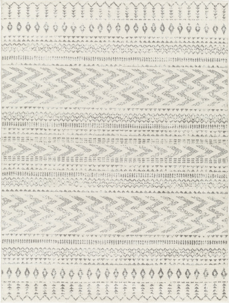 Surya Tevazu TVZ-2385 Area Rug main image