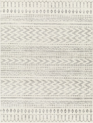 Surya Tevazu TVZ-2385 Area Rug main image