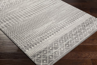 Surya Tevazu TVZ-2387 Area Rug Corner Shot