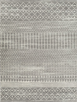 Surya Tevazu TVZ-2387 Area Rug main image