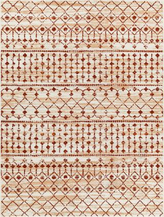 Surya Tevazu TVZ-2414 Area Rug main image