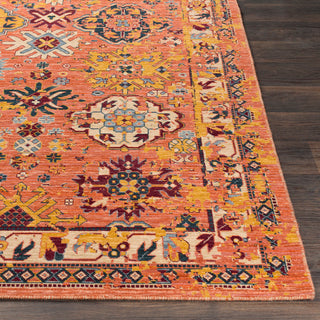 Surya Trailblazer TZR-1001 Bright Orange Medium Gray Wheat Denim Dark Red Saffron Area Rug Detail Image