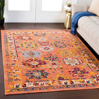 Surya Trailblazer TZR-1001 Area Rug Room Image Feature