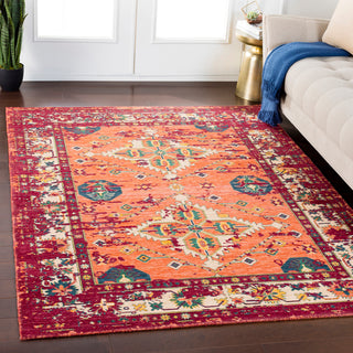 Surya Trailblazer TZR-1005 Area Rug Room Image Feature