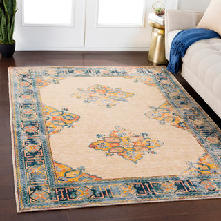 Surya Trailblazer TZR-1009 Area Rug Room Image Feature