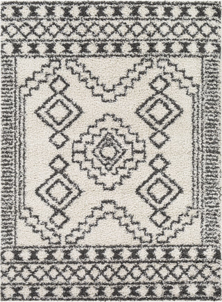 Surya Taza Shag TZS-2300 Area Rug main image