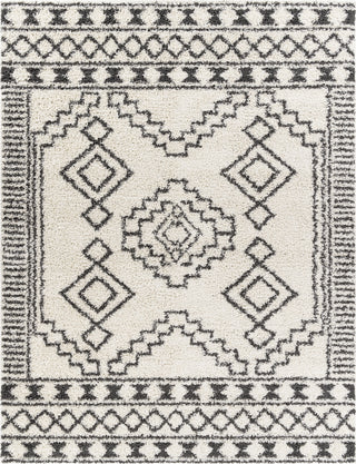 Surya Taza Shag TZS-2300 Area Rug Main Image