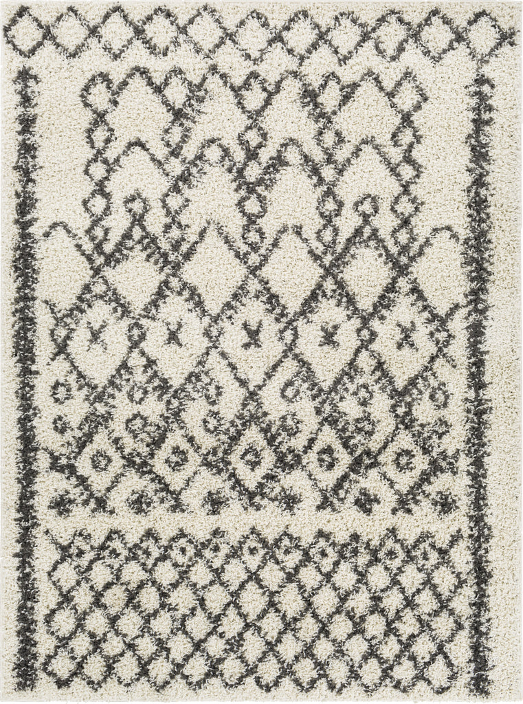 Surya Taza Shag TZS-2301 Area Rug main image