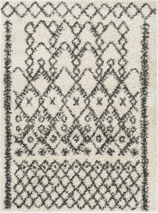 Surya Taza Shag TZS-2301 Area Rug main image