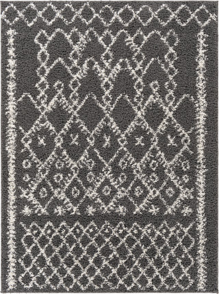 Surya Taza Shag TZS-2302 Area Rug main image