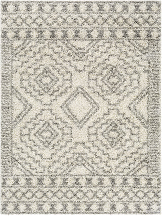 Surya Taza Shag TZS-2303 Area Rug main image