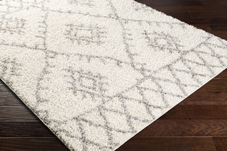 Surya Taza Shag TZS-2304 Area Rug Corner Shot