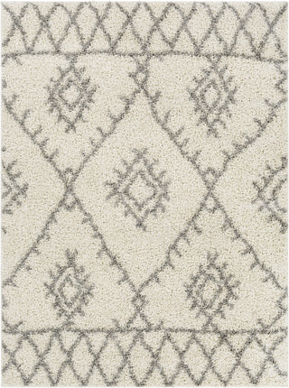 Surya Taza Shag TZS-2304 Area Rug main image