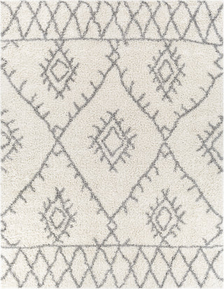 Surya Taza Shag TZS-2304 Area Rug Main Image