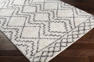 Surya Taza Shag TZS-2305 Area Rug Corner Shot