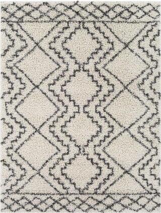 Surya Taza Shag TZS-2305 Area Rug main image