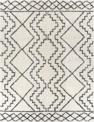 Surya Taza Shag TZS-2305 Area Rug Main Image