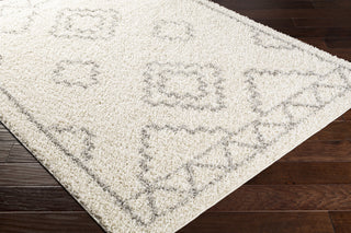 Surya Taza Shag TZS-2306 Area Rug Corner Shot