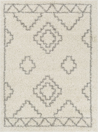 Surya Taza Shag TZS-2306 Area Rug main image