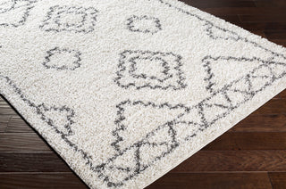 Surya Taza Shag TZS-2307 Area Rug Corner Shot