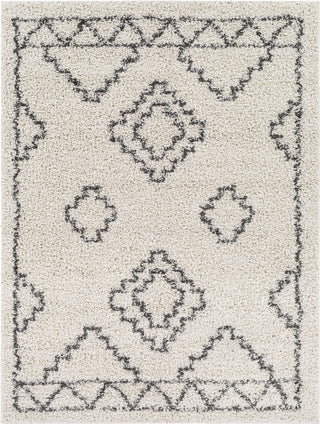 Surya Taza Shag TZS-2307 Area Rug main image