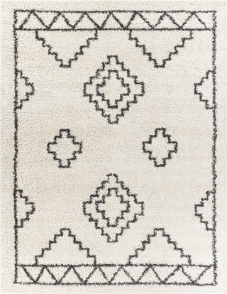 Surya Taza Shag TZS-2307 Area Rug Main Image