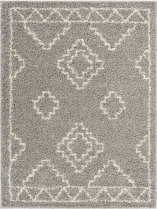 Surya Taza Shag TZS-2308 Area Rug main image