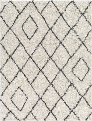 Surya Taza Shag TZS-2309 Area Rug main image