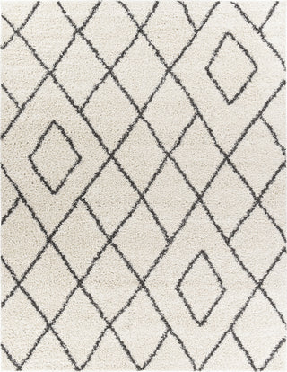 Surya Taza Shag TZS-2309 Area Rug Main Image