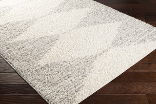Surya Taza Shag TZS-2310 Area Rug Corner Shot