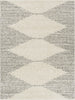 Surya Taza Shag TZS-2310 Area Rug main image
