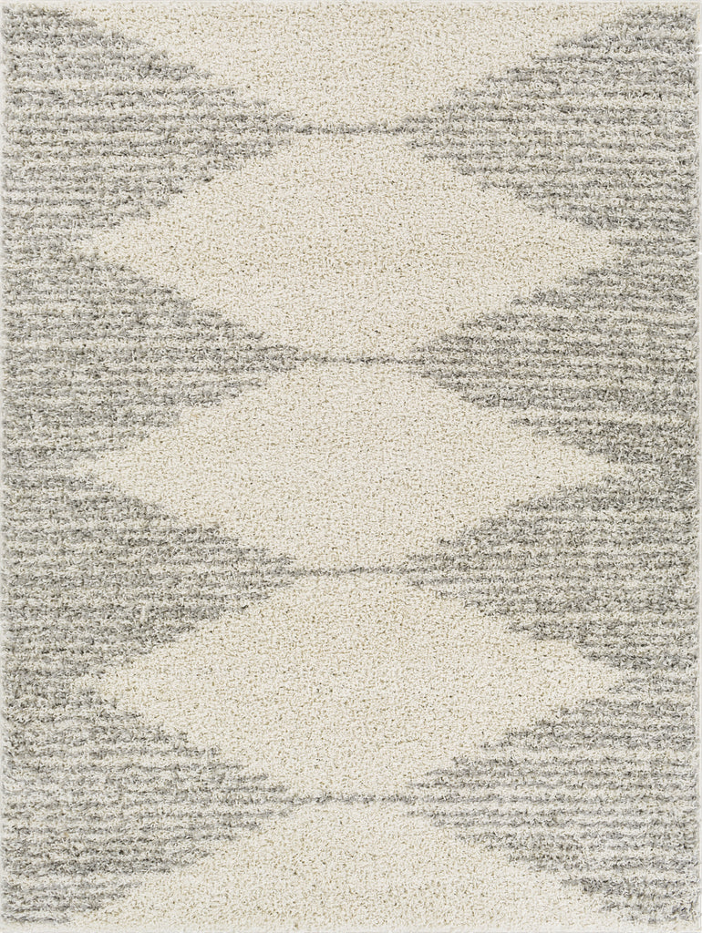 Surya Taza Shag TZS-2310 Area Rug main image