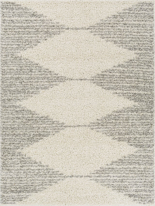 Surya Taza Shag TZS-2310 Area Rug main image