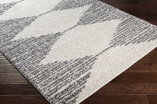 Surya Taza Shag TZS-2311 Area Rug Corner Shot