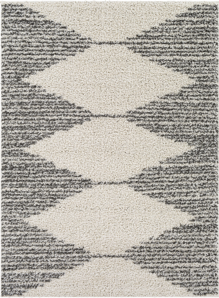 Surya Taza Shag TZS-2311 Area Rug main image
