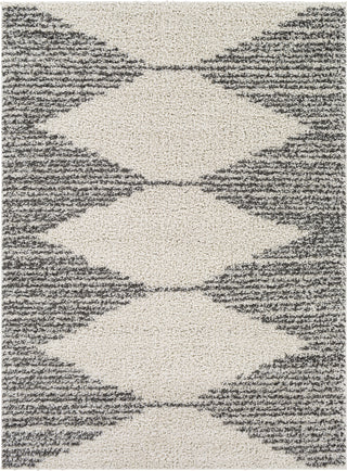 Surya Taza Shag TZS-2311 Area Rug main image