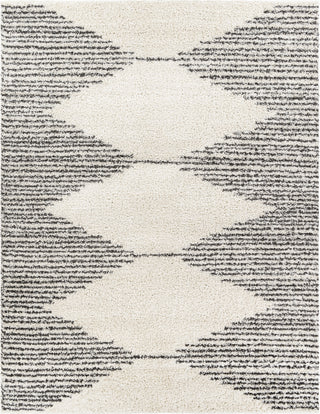 Surya Taza Shag TZS-2311 Area Rug Main Image