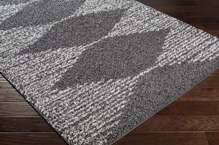 Surya Taza Shag TZS-2312 Area Rug Corner Shot
