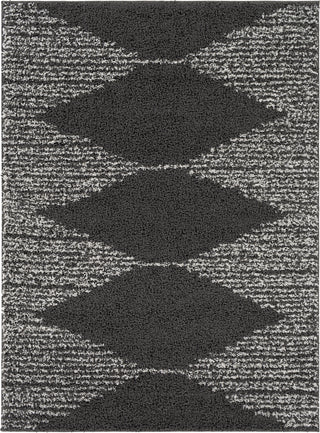 Surya Taza Shag TZS-2312 Area Rug main image