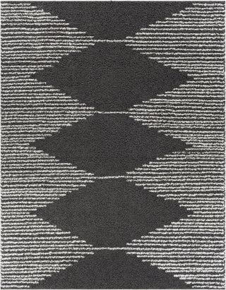 Surya Taza Shag TZS-2312 Area Rug Main Image