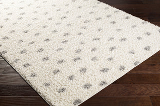 Surya Taza Shag TZS-2313 Area Rug Corner Shot
