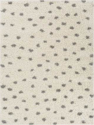 Surya Taza Shag TZS-2313 Area Rug main image