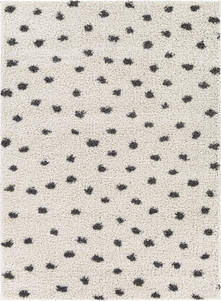 Surya Taza Shag TZS-2314 Area Rug main image