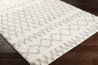 Surya Taza Shag TZS-2315 Area Rug Corner Shot