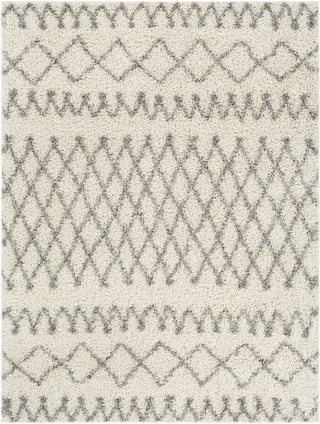 Surya Taza Shag TZS-2315 Area Rug main image