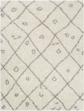 Surya Taza Shag TZS-2317 Area Rug main image