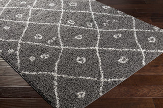 Surya Taza Shag TZS-2319 Area Rug Corner Shot