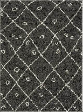 Surya Taza Shag TZS-2319 Area Rug main image