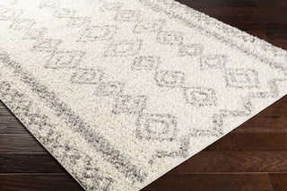 Surya Taza Shag TZS-2320 Area Rug Corner Shot